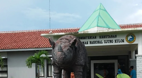 BTNUK DUKUNG GERAKAN REHABILITASI TERUMBU KARANG