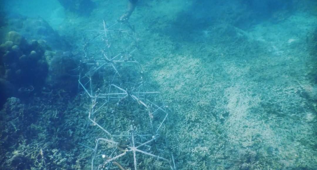 Pokdarwis Jalatunda Peringati Hari Kelautan Nasional