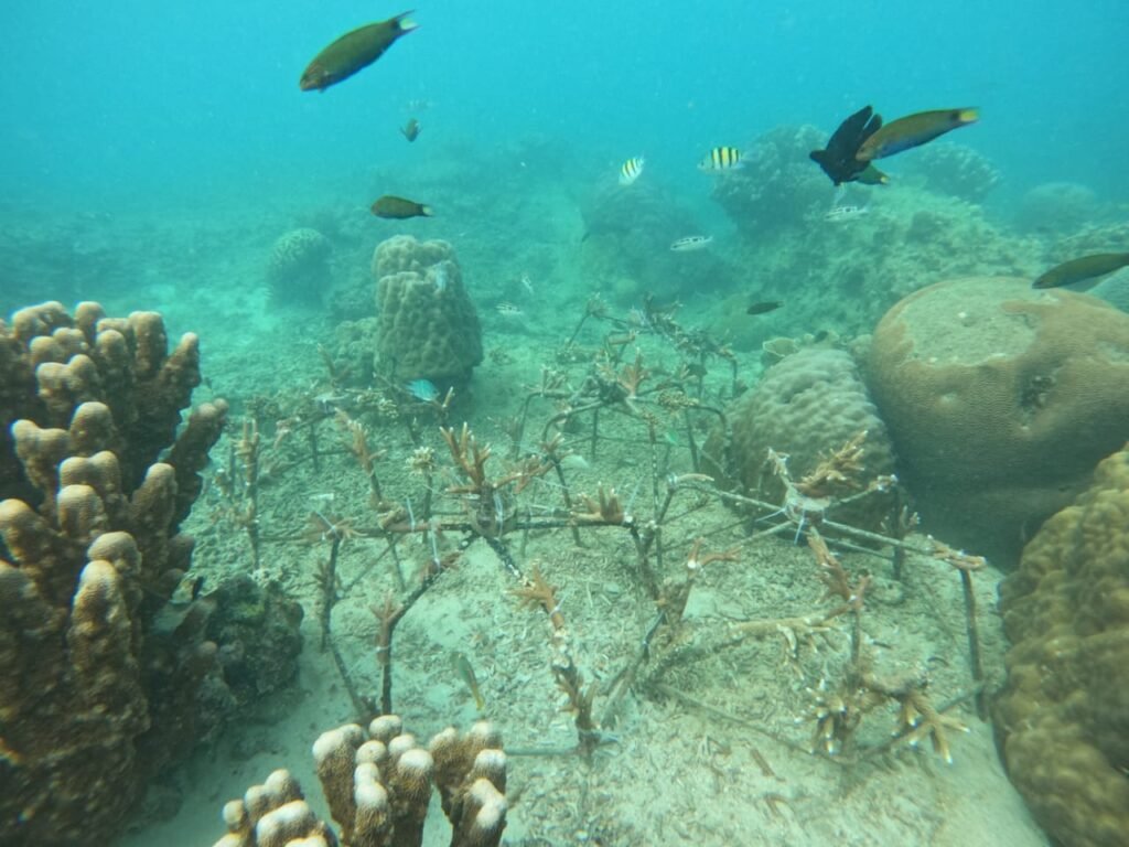 WhatsApp Image 2025 10 28 At 12.07.03 (2)