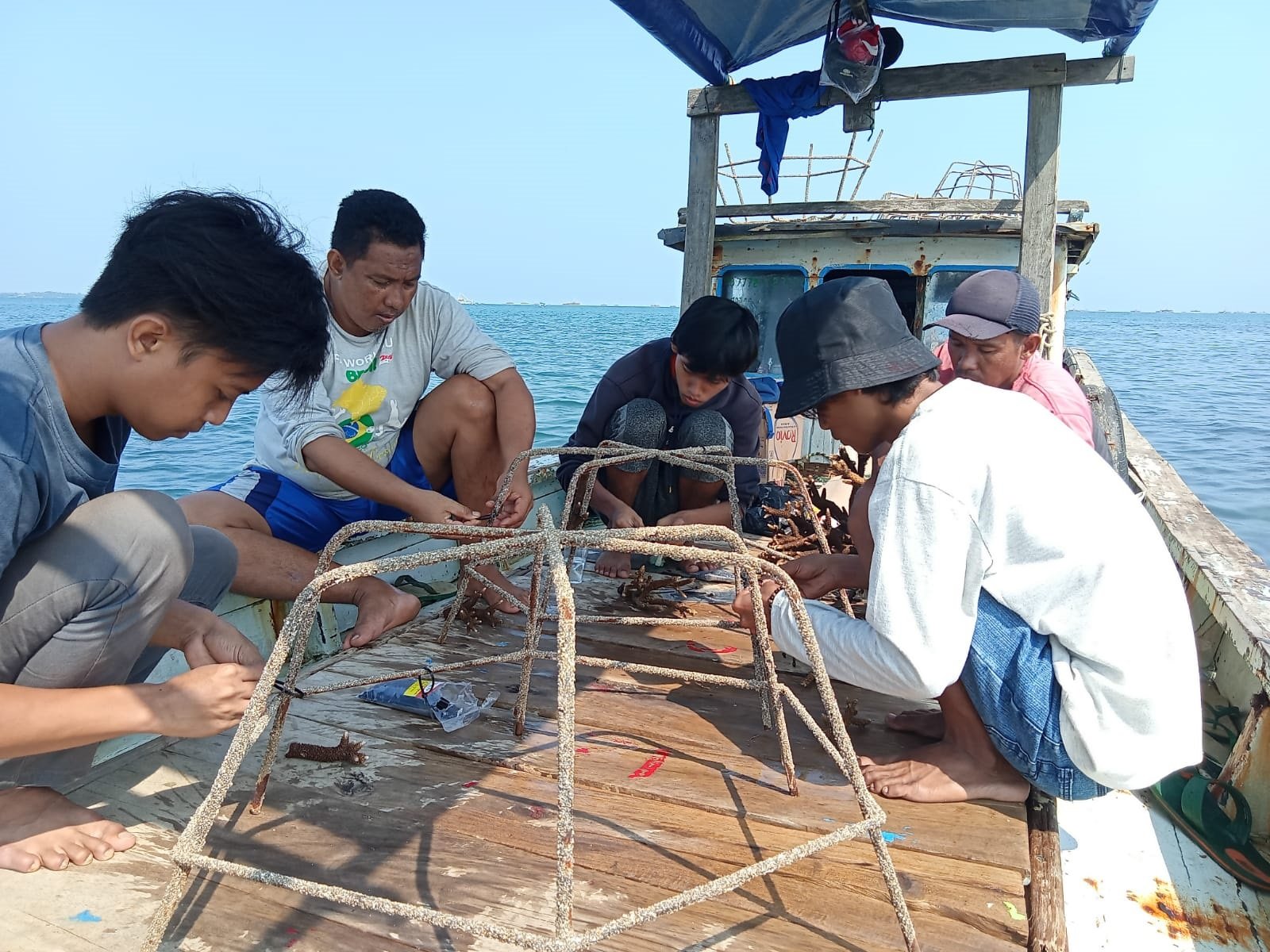 SEBANYAK 342 RAK LABA-LABA SELESAI DITANAM DI PULAU BADUL DAN LIWUNGAN