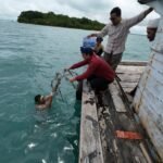 PERINGATI HARI PAHLAWAN, BELASAN MAHASISWA FKIP UNTIRTA TRANSPLANTASI KARANG DI LIWUNGAN