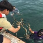 SEBANYAK 71 MAHASISWA FTUI TRANSPLANTASI KARANG DI PULAU LIWUNGAN