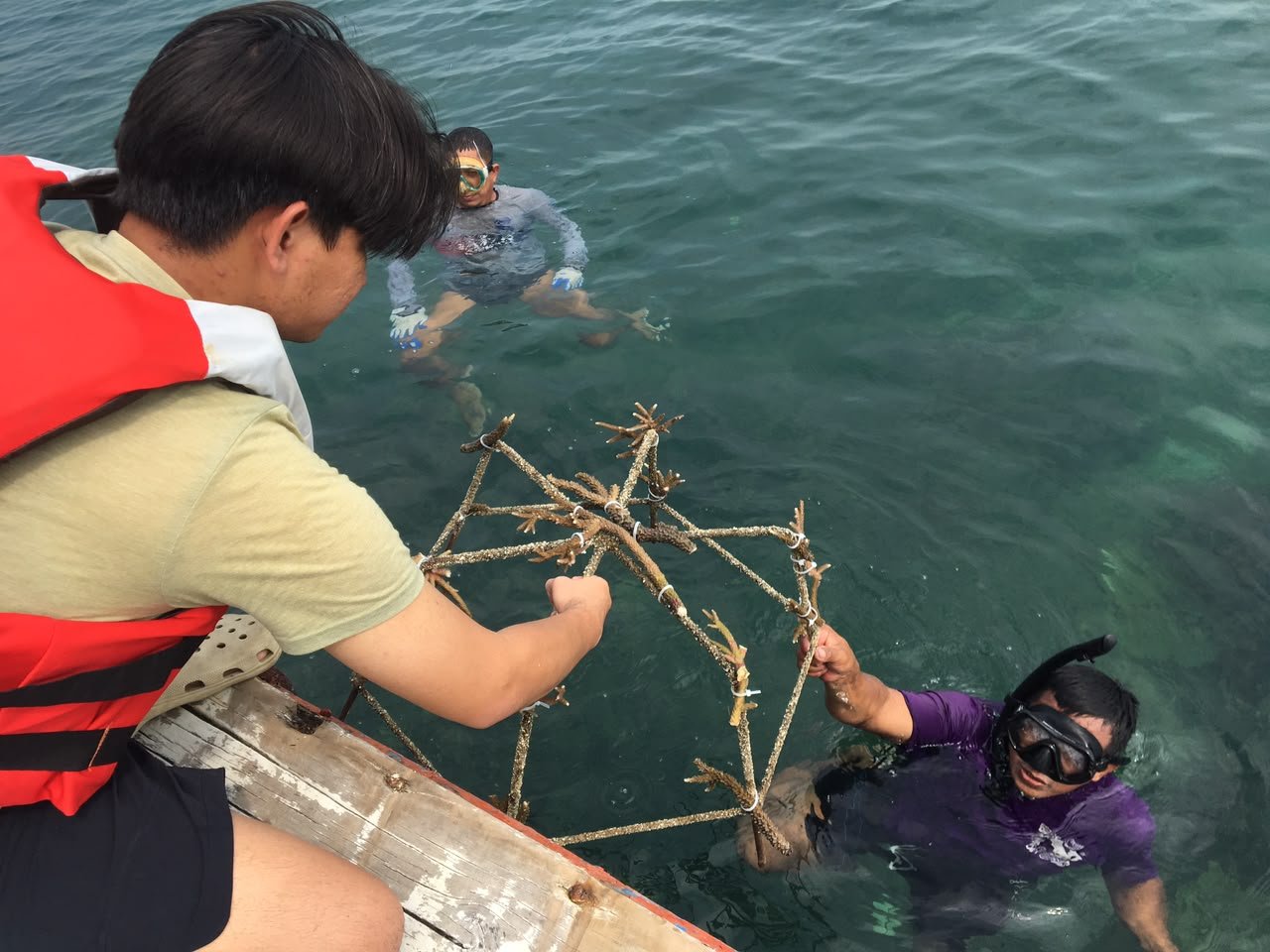 SEBANYAK 71 MAHASISWA FTUI TRANSPLANTASI KARANG DI PULAU LIWUNGAN