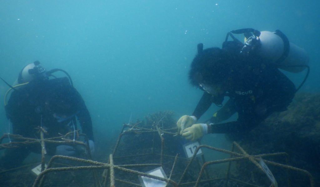 Monitoring Tahap I 16