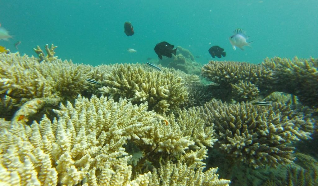 Survei Lokasi Pelindo (18)